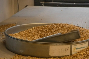 Zapatilla negra - Luna Chiara- 30-B